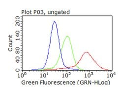 SQSTM1 Monoclonal Antibody (OTI1B2), TrueMAB , OriGene 100 &mu;L; Unconjugated:Antibodies,