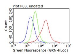 SQSTM1 Monoclonal Antibody (OTI1B2), TrueMAB , OriGene 100 &mu;L; Unconjugated:Antibodies,