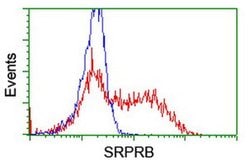 SRPRB Monoclonal Antibody (OTI1D9), TrueMAB , OriGene 100 &mu;L; Unconjugated:Antibodies,