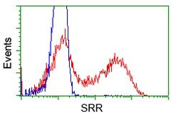 SRR Mouse anti-Human, Clone: OTI7B6, lyophilized, TrueMAB 100 &mu;g; Unconjugated:Antibodies,