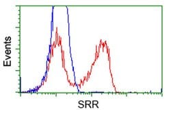 SRR Monoclonal Antibody (OTI9E8), TrueMAB , OriGene 30 &mu;L | Buy Online | OriGene | Fisher Scientific