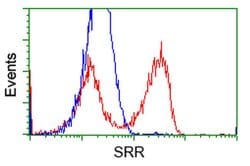 SRR Monoclonal Antibody (OTI7E8), TrueMAB , OriGene 100 &mu;L; Unconjugated:Antibodies,