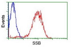 SSB Mouse anti-Canine, Human, Clone: OTI3H9, liquid, TrueMAB 100 &mu;L;