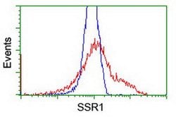 SSR1 Mouse anti-Human, Clone: OTI4H6, lyophilized, TrueMAB 100 &mu;g; Unconjugated:Antibodies,
