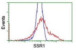 SSR1 Monoclonal Antibody (OTI4H6), TrueMAB , OriGene 100 &mu;L; Unconjugated:Antibodies,