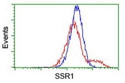 SSR1 Monoclonal Antibody (OTI 5D5), TrueMAB , OriGene 100 &mu;L; Unconjugated:Antibodies,