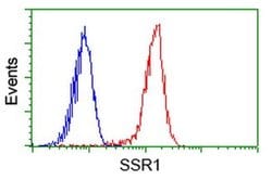 SSR1 Monoclonal Antibody (OTI 5D5), TrueMAB , OriGene 100 &mu;L; Unconjugated:Antibodies,