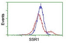 SSR1 Monoclonal Antibody (OTI 4C9), TrueMAB , OriGene 30 &mu;L; Unconjugated:Anticuerpos