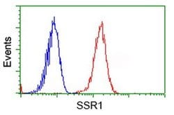 SSR1 Monoclonal Antibody (OTI 4C9), TrueMAB , OriGene 30 &mu;L; Unconjugated:Anticuerpos