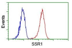 SSR1 Monoclonal Antibody (OTI 4C9), TrueMAB , OriGene 30 &mu;L; Unconjugated:Anticuerpos