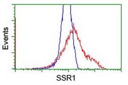 SSR1 Monoclonal Antibody (OTI4C7), TrueMAB , OriGene 30 &mu;L; Unconjugated:Antibodies,