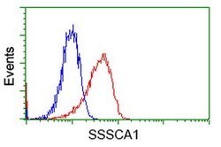 SSSCA1 Mouse anti-Human, Clone: OTI2F5, lyophilized, TrueMAB 100 &mu;g;
