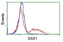 SSX1 Monoclonal Antibody (OTI2G5), TrueMAB , OriGene 100 &mu;L; Unconjugated:Antibodies,