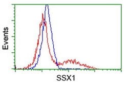 SSX1 Monoclonal Antibody (OTI2D12), TrueMAB , OriGene 100 &mu;L; Unconjugated:Antibodies,