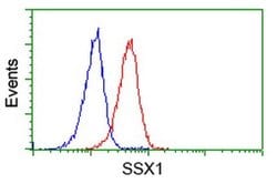 SSX1 Monoclonal Antibody (OTI2D12), TrueMAB , OriGene 100 &mu;L; Unconjugated:Antibodies,