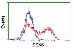 SSX5 Mouse anti-Human, Clone: OTI3G6, lyophilized, TrueMAB 100 &mu;g; Unconjugated:Antibodies,