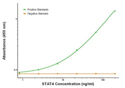 STAT4 Mouse anti-Human, Clone: OTI2A2, liquid, TrueMAB 100 &mu;g; Unconjugated:Antibodies,