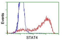 STAT4 Monoclonal Antibody (OTI1G9), TrueMAB , OriGene 100 μL; Unconjugated:Antibodies,