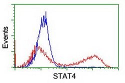 STAT4 Monoclonal Antibody (OTI1B1), TrueMAB , OriGene 100 &mu;L; Unconjugated:Antibodies,