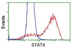 STAT4 Monoclonal Antibody (OTI2G5), TrueMAB , OriGene:Antibodies:Primary