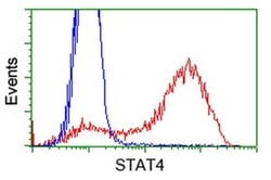 STAT4 Monoclonal Antibody (OTI4F9), TrueMAB , OriGene:Antibodies:Primary