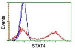 STAT4 Monoclonal Antibody (OTI3B6), TrueMAB , OriGene 100 &mu;L; Unconjugated:Antibodies,