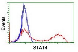 STAT4 Monoclonal Antibody (OTI2F3), TrueMAB , OriGene 100 &mu;L; Unconjugated:Antibodies,