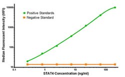 STAT4 Mouse anti-Human, Clone: OTI2A2, liquid, TrueMAB 100 &mu;g; Unconjugated:Antibodies,
