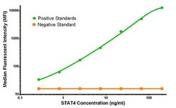 STAT4 Mouse anti-Human, Clone: OTI2A2, liquid, TrueMAB 100 &mu;g; Unconjugated:Antibodies,