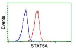 STAT5A Monoclonal Antibody (OTI6D6), TrueMAB , OriGene:Antibodies:Primary