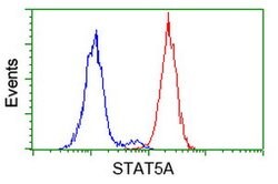 STAT5A Mouse anti-Human, Clone: OTI11A9, lyophilized, TrueMAB 100 &mu;g;