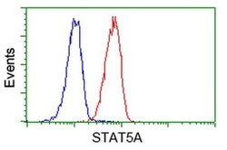 STAT5A Monoclonal Antibody (OTI11A9), TrueMAB , OriGene 100 &mu;L; Unconjugated:Antibodies,