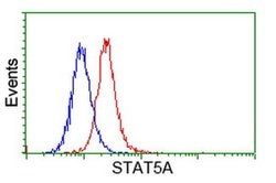 STAT5A Monoclonal Antibody (OTI3D2), TrueMAB , OriGene:Antibodies:Primary