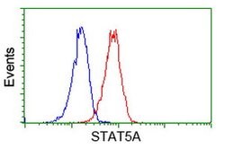 STAT5A Mouse anti-Human, Clone: OTI1H9, lyophilized, TrueMAB 100 &mu;g;