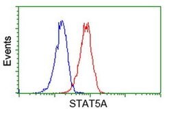 STAT5A Monoclonal Antibody (OTI1H9), TrueMAB , OriGene 30 &mu;L; Unconjugated:Antibodies,