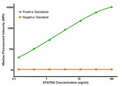 STAT5A Mouse anti-Human, Clone: OTI10H1, liquid, TrueMAB 100 &mu;g; Unconjugated:Antibodies,