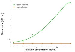 STK39 Mouse anti-Human, Biotin, Clone: OTI4E3, liquid, TrueMAB 50 &mu;g;