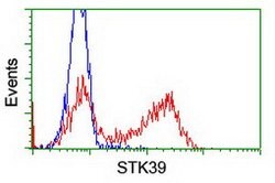 STK39 Mouse anti-Human, Clone: OTI4H3, lyophilized, TrueMAB 100 &mu;g;