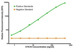 STK39 Mouse anti-Human, Biotin, Clone: OTI4E3, liquid, TrueMAB 50 &mu;g;