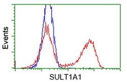 SULT1A1 Monoclonal Antibody (OTI8B8), TrueMAB , OriGene 100 &mu;L; Unconjugated:Antibodies,