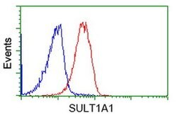 SULT1A1 Monoclonal Antibody (OTI8B8), TrueMAB , OriGene 100 &mu;L; Unconjugated:Antibodies,