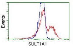 SULT1A1 Mouse anti-Human, Clone: OTI9D10, lyophilized, TrueMAB 100 &mu;g;