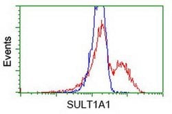 SULT1A1 Monoclonal Antibody (OTI9D10), TrueMAB , OriGene 100 &mu;L; Unconjugated:Antibodies,