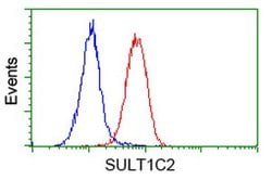 SULT1C2 Mouse anti-Human, Clone: OTI4G1, lyophilized, TrueMAB 100 &mu;g;