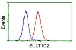 SULT1C2 Mouse anti-Human, Clone: OTI4G1, lyophilized, TrueMAB 100 &mu;g;
