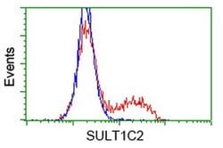 SULT1C2 Monoclonal Antibody (OTI5A4), TrueMAB , OriGene 100 &mu;L | Buy Online | OriGene | Fisher Scientific