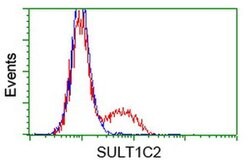 SULT1C2 Monoclonal Antibody (OTI5A11), TrueMAB , OriGene 30 &mu;L; Unconjugated:Antibodies,
