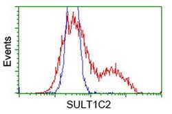 SULT1C2 Monoclonal Antibody (OTI2F5), TrueMAB , OriGene 100 &mu;L; Unconjugated:Antibodies,