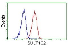 SULT1C2 Monoclonal Antibody (OTI2F5), TrueMAB , OriGene 100 &mu;L; Unconjugated:Antibodies,