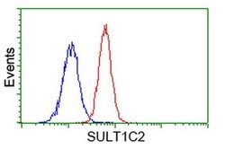 SULT1C2 Monoclonal Antibody (OTI2F5), TrueMAB , OriGene 100 &mu;L; Unconjugated:Antibodies,